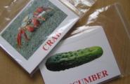 Поиски самых эффективных обучающих детских методик